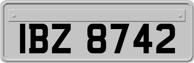 IBZ8742