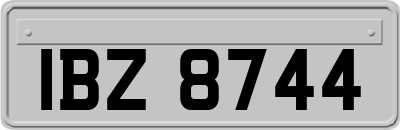 IBZ8744