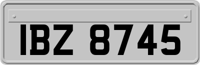 IBZ8745