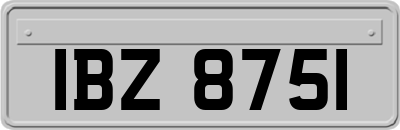 IBZ8751
