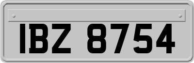 IBZ8754