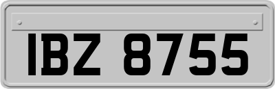 IBZ8755