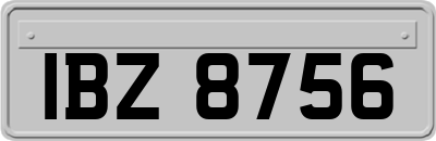 IBZ8756