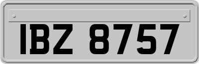 IBZ8757
