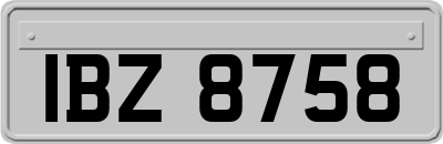 IBZ8758