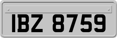 IBZ8759