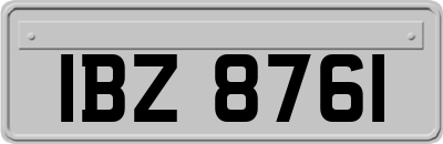 IBZ8761