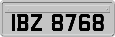 IBZ8768