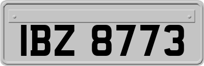 IBZ8773