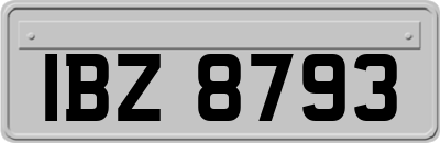 IBZ8793