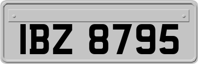 IBZ8795