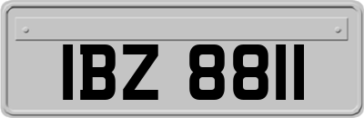 IBZ8811