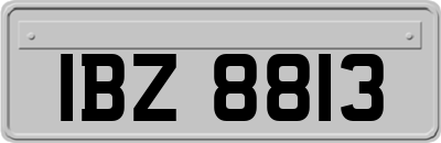 IBZ8813