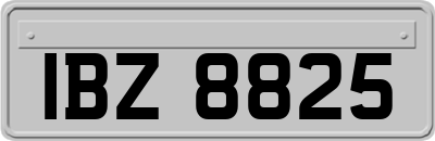 IBZ8825