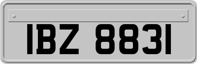 IBZ8831