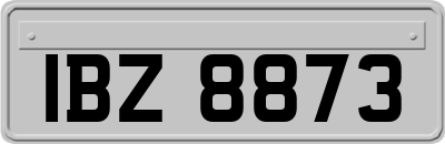 IBZ8873