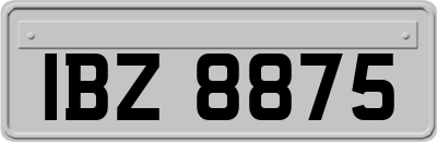 IBZ8875