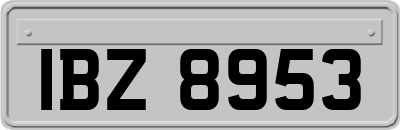 IBZ8953