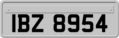 IBZ8954