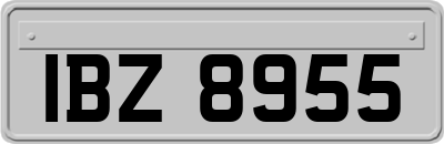 IBZ8955