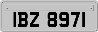 IBZ8971