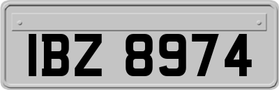 IBZ8974