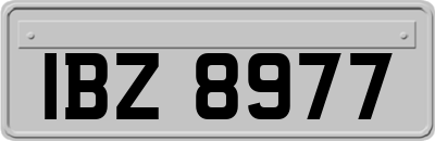 IBZ8977