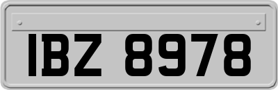 IBZ8978
