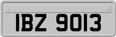IBZ9013