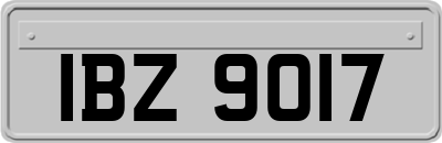 IBZ9017
