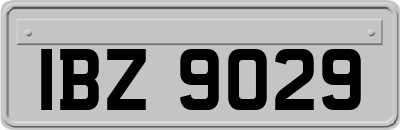 IBZ9029