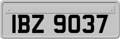 IBZ9037