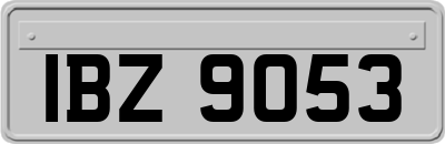 IBZ9053