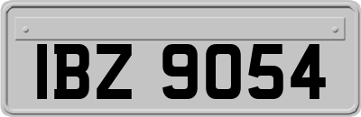 IBZ9054