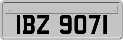 IBZ9071