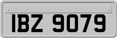 IBZ9079