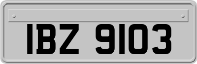 IBZ9103