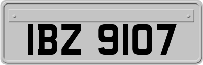IBZ9107
