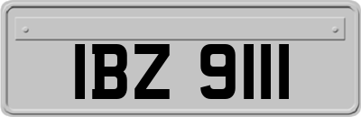 IBZ9111