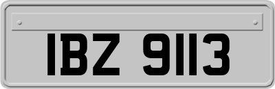 IBZ9113
