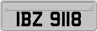 IBZ9118