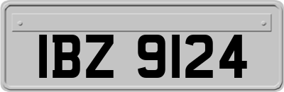 IBZ9124