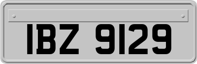 IBZ9129