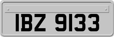 IBZ9133