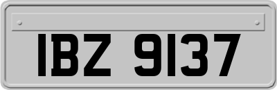 IBZ9137