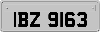 IBZ9163