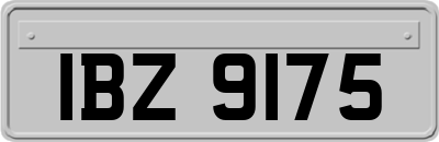 IBZ9175