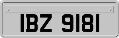 IBZ9181