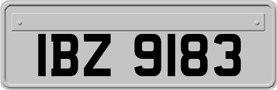 IBZ9183