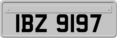 IBZ9197
